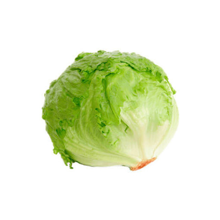 Imagen de LECHUGA AMERICANA  900 g